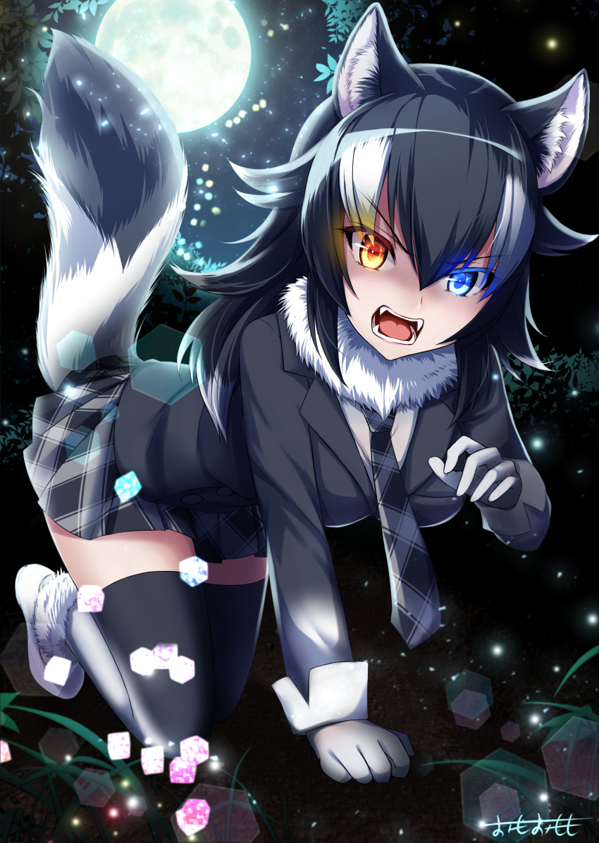 1girl all_fours angry animal_ears black_hair blue_eyes blush breasts fangs full_body fur_collar gloves glowing glowing_eyes grey_wolf_(kemono_friends) heterochromia highres kemono_friends large_breasts long_hair long_sleeves looking_at_viewer moon multicolored_hair nature necktie omoomomo open_mouth skirt solo tail two-tone_hair wolf_ears wolf_tail yellow_eyes