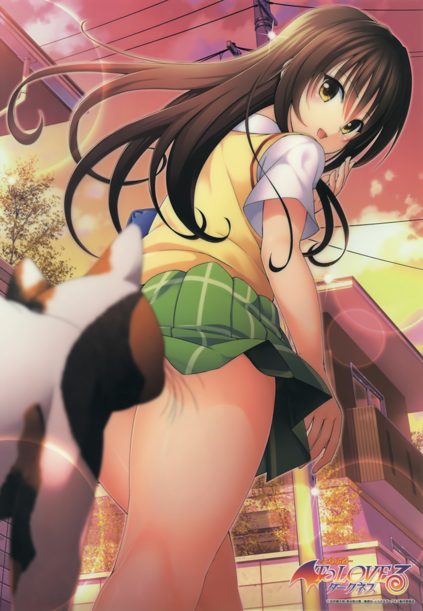 1girl :d absurdres animal bag balcony bangs blurry blush brown_eyes brown_hair building cat copyright_name depth_of_field evening eyebrows_visible_through_hair from_behind from_below green_skirt highres house kotegawa_yui long_hair looking_at_viewer looking_back looking_down miniskirt official_art open_mouth outdoors phone plaid plaid_skirt pleated_skirt power_lines red_sky scan school_uniform shirt short_sleeves skirt sky smile solo sweater_vest thighs to_love-ru to_love-ru_darkness town walking white_shirt yabuki_kentarou