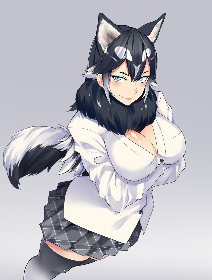 1girl absurdres animal_ears black_hair black_legwear blazer blue_eyes blush body_blush bonkiru breasts closed_mouth commentary_request crossed_arms dog_ears dog_tail from_above fur_collar gradient gradient_background grey_background hair_between_eyes highres jacket kemono_friends large_breasts long_hair multicolored_hair original plaid plaid_skirt pleated_skirt shirt skirt smile solo standing tail thigh-highs two-tone_hair very_long_hair white_hair white_shirt