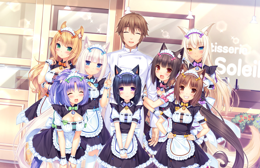 &gt;:) 1boy 6+girls :d absurdly_long_hair animal_ears apron arm_grab arm_hug azuki azuki_(sayori) bangs bell bell_choker black_dress black_hair blonde_hair blue_bow blue_eyes blunt_bangs blush bow bowtie breasts brother_and_sister brown_eyes brown_hair cat_band_legwear cat_ears cat_tail character_name chocola_(sayori) chocolat choker cinnamon_(neko_para) cinnamon_(sayori) cleavage closed_eyes coconut coconut_(sayori) dress dutch_angle eyebrows_visible_through_hair facing_viewer frilled_apron frilled_dress frills game_cg green_bow green_eyes grin hair_ribbon han_in_hair hand_in_hair hands_on_hips hands_on_lap hands_together heart heart_necklace heterochromia leaning_forward lens_flare long_hair looking_at_viewer maid maid_headdress maple_(neko_para) maple_(sayori) medium_breasts minazuki_kashou minazuki_shigure multiple_girls name_tag neko_para nekopara one_eye_closed one_side_up open_mouth orange_bow outdoors pink_bow ponytail purple_bow purple_hair red_eyes ribbon sayori short_dress short_hair short_sleeves siblings silver_hair small_breasts smile sparkle tail thigh-highs twintails two_side_up v v_arms vanilla vanilla_(sayori) very_long_hair violet_eyes waist_apron white_apron white_hair white_legwear wrist_cuffs yellow_bow yellow_eyes |d