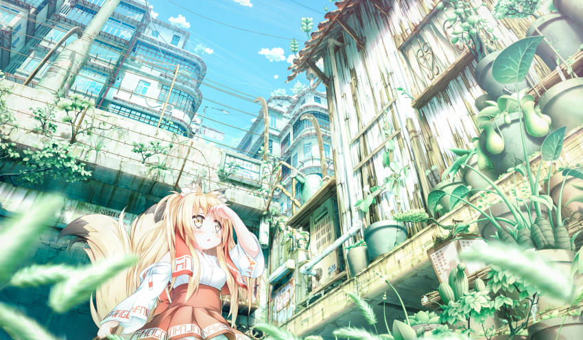 absurdres animal_ears barbed_wire blonde_hair blush fox fox_ears fox_girl fox_tail hair_ornament highres holding_lantern long_hair looking_away original parted_lips pipe plant potted_plant power_lines red_skirt scenery shiro_dai_kitsune sign skirt tail x_hair_ornament yellow_eyes