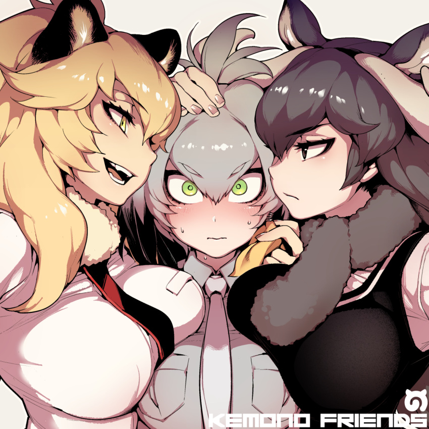 3girls :/ animal_ears antlers bangs black_eyes black_hair blonde_hair blush breast_press breasts closed_mouth collared_shirt eyebrows eyebrows_visible_through_hair fangs fishine fur_collar green_eyes grey_hair grey_necktie grey_shirt hair_between_eyes half-closed_eyes hand_on_another's_head head_wings highres kemono_friends large_breasts lion_(kemono_friends) lion_ears long_hair looking_at_another looking_at_viewer low_ponytail moose_(kemono_friends) moose_ears multicolored_hair multiple_girls necktie open_mouth shirt shoebill_(kemono_friends) side_ponytail smile sweat wavy_mouth wide-eyed yellow_eyes