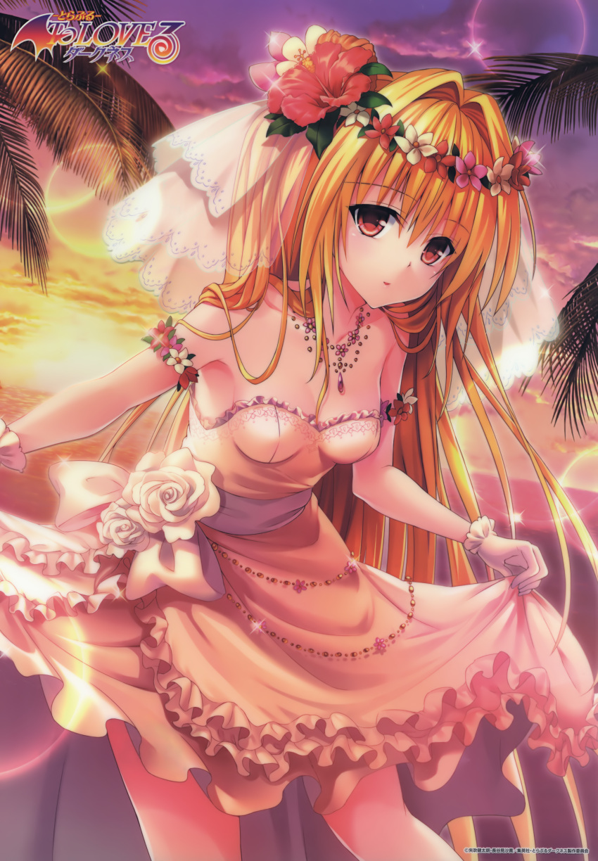 1girl absurdres armband blonde_hair breasts cleavage collarbone dress dress_lift flower frilled_dress frills gloves hair_flower hair_ornament highres jewelry konjiki_no_yami long_hair looking_at_viewer necklace official_art palm_tree red_eyes sleeveless small_breasts sunset to_love-ru to_love-ru_darkness tree veil white_dress white_gloves yabuki_kentarou