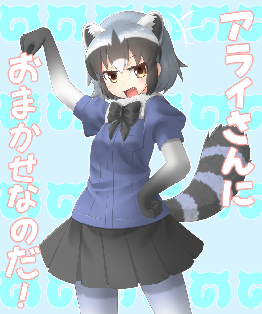 1girl absurdres animal_ears black_bow black_bowtie black_hair black_ribbon blue_background blush bow bowtie breast_pocket common_raccoon_(kemono_friends) eyebrows_visible_through_hair fang grey_hair hand_on_hip highres kakutasu_(akihiron_cactus) kemono_friends looking_at_viewer multicolored_hair open_mouth pocket raccoon_ears raccoon_tail ribbon smile solo tail translated white_hair