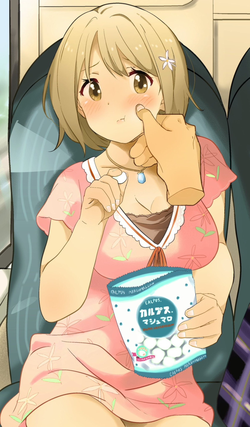 1girl 216_zig blush breasts brown_eyes brown_hair cardigan cheek_pinching cleavage commentary_request flower hair_flower hair_ornament highres holding idolmaster idolmaster_cinderella_girls jewelry looking_at_viewer medium_breasts mimura_kanako necklace pinching plump short_hair short_sleeves sitting