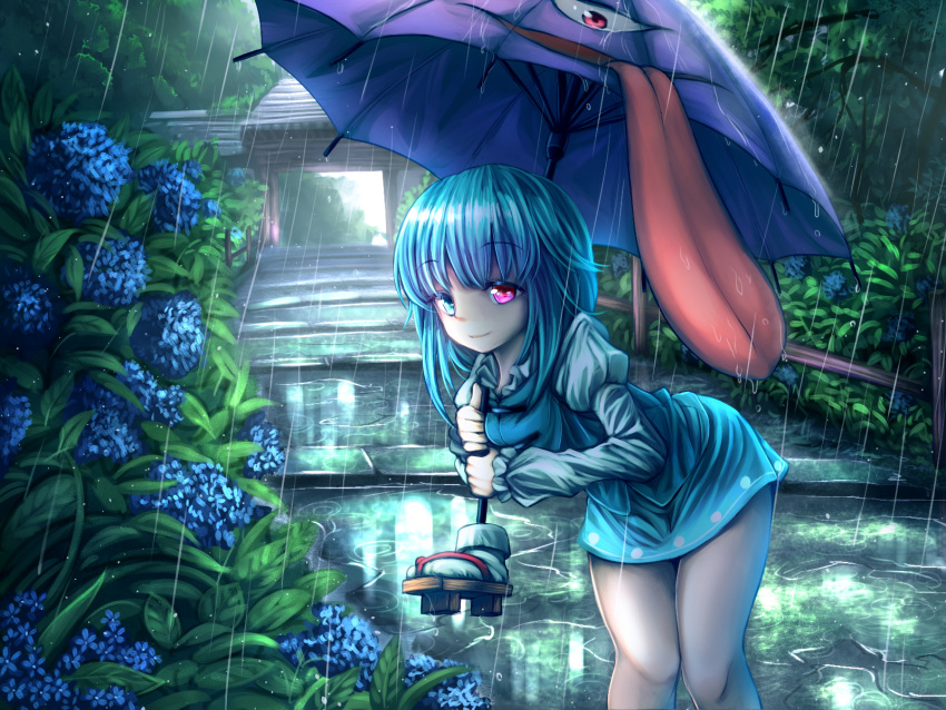 1girl bending_forward bent_over blue_eyes blue_hair blush eyebrows_visible_through_hair flower heterochromia highres holding holding_umbrella hydrangea looking_at_viewer plant rain red_eyes sandals short_hair smile solo t.m_(aqua6233) tatara_kogasa tongue touhou umbrella