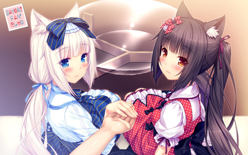 2girls :3 animal_ears artist_name bangs blue_eyes blunt_bangs blush bow brown_eyes brown_hair cat_ears chocola_(sayori) dress eyebrows_visible_through_hair eyes_visible_through_hair glass_table hair_bow hair_ribbon hand_holding long_hair looking_at_viewer looking_back low_twintails multiple_girls nekopara polka_dot polka_dot_dress pov pov_hands puffy_short_sleeves puffy_sleeves ribbon sayori shirt short_sleeves sitting sitting_on_lap sitting_on_person skirt slit_pupils smile striped table twintails vanilla_(sayori) vertical-striped_skirt vertical_stripes wallpaper white_hair white_shirt