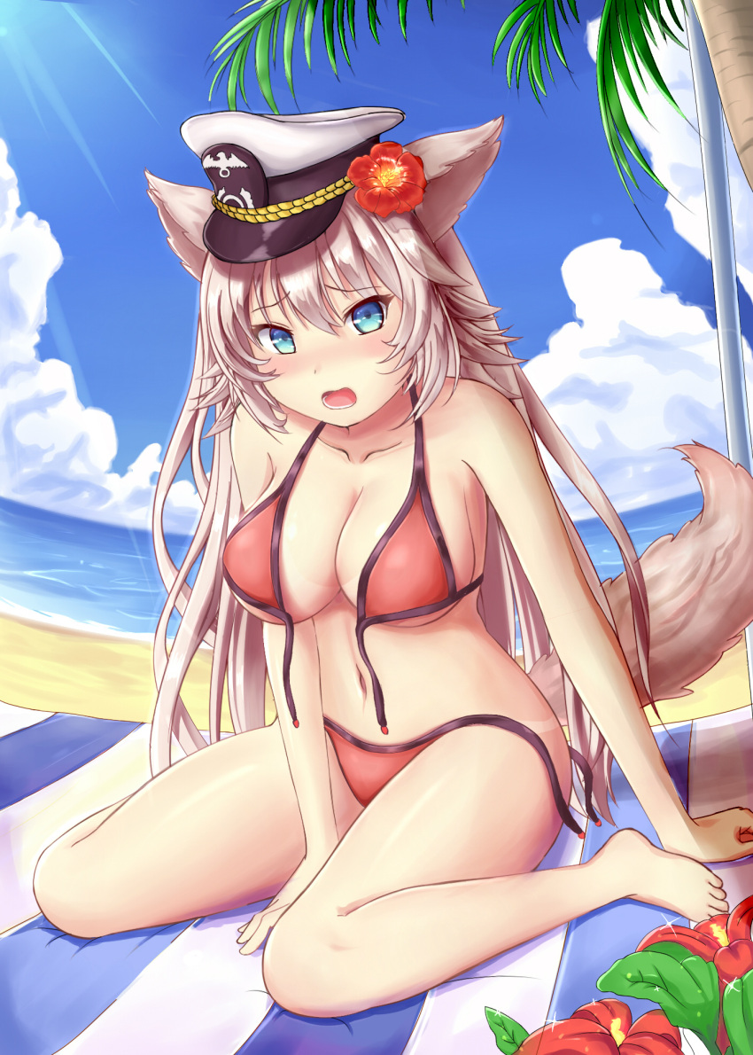 1girl animal_ears blanket blue_eyes blush breasts cleavage day dog_ears dog_tail flower highres large_breasts long_hair looking_at_viewer looking_away looking_down lotpe navel open_mouth outdoors palm_tree qurare_magic_library silver_hair sitting solo tail tan tanline teeth tree wardrobe_malfunction wariza