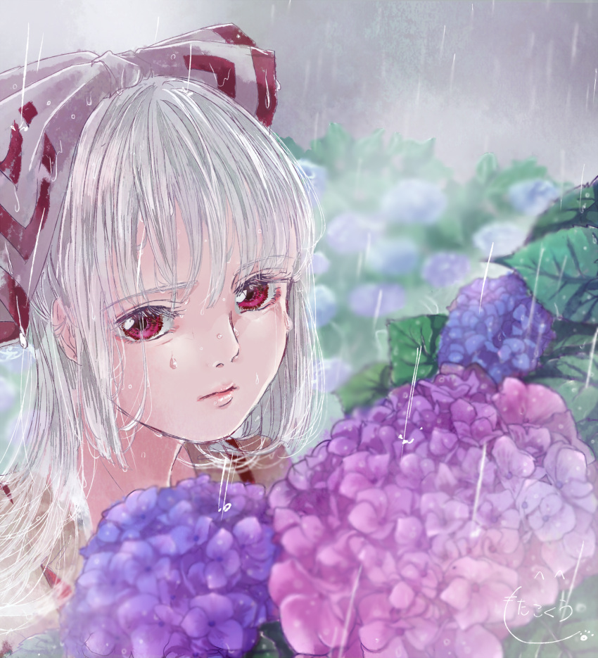 1girl blurry blurry_background bow closed_mouth commentary_request crying crying_with_eyes_open depth_of_field expressionless flower fog fujiwara_no_mokou hair_bow hair_over_shoulder hair_ribbon highres hydrangea lips long_hair mokoiscat outdoors rain red_eyes ribbon shirt signature silver_hair solo suspenders tears touhou upper_body wet wet_face wet_hair
