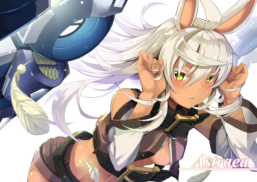1girl absurdres ahoge animal_ears astraea_(jie_laite) bangs bare_shoulders belt belt_buckle breasts brown_belt brown_shirt brown_shorts buckle character_name colored_eyelashes crop_top dark_skin detached_sleeves feathers fingernails floating_hair hair_between_eyes hands_in_hair hands_up highres jie_laite leaning_forward long_hair looking_at_viewer machinery medium_breasts midriff navel original parted_lips shiny shiny_hair shirt shorts simple_background solo white_background white_feathers white_hair yellow_eyes