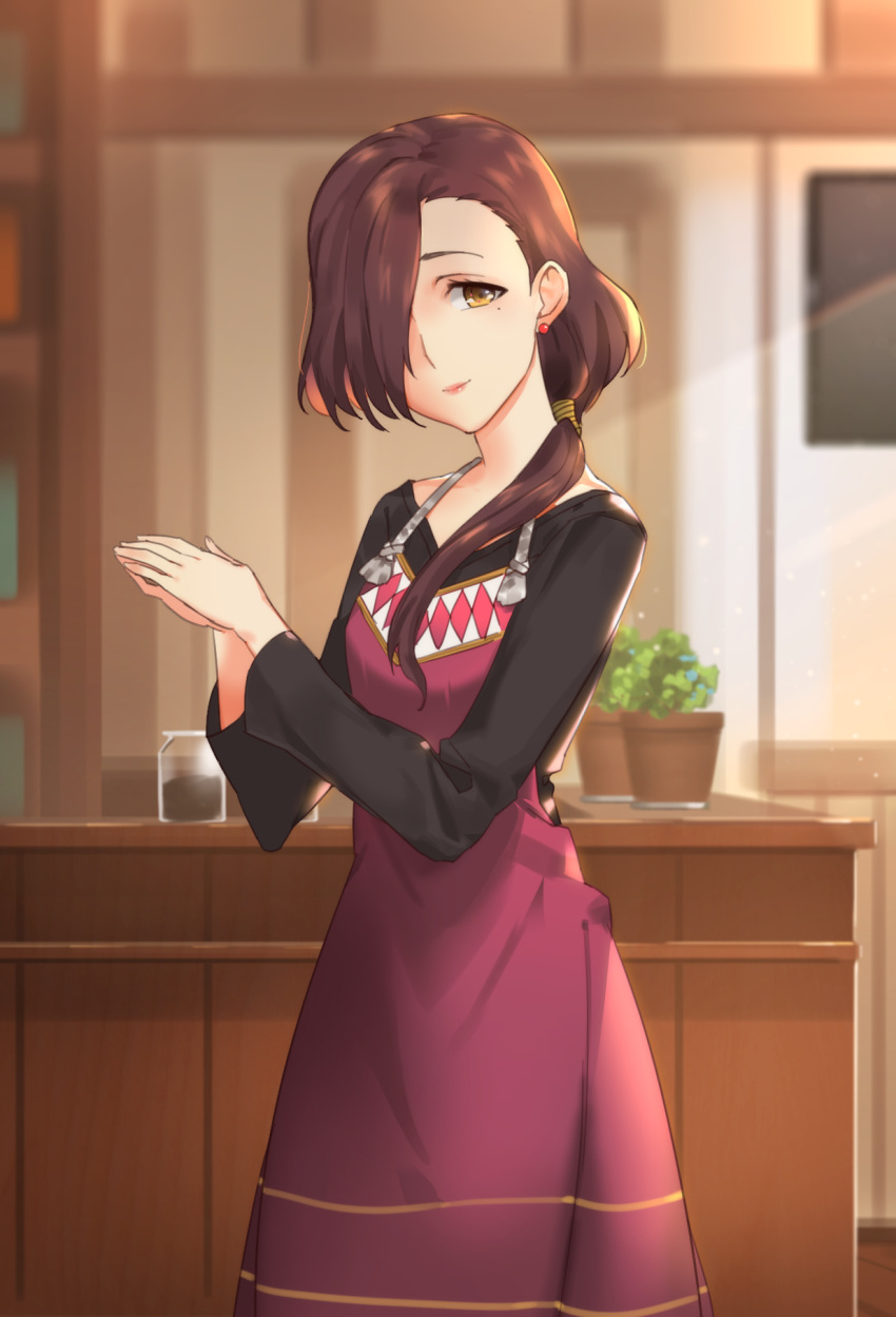 1girl angelica_(sakura_quest) apron brown_eyes earrings hair_over_one_eye hands_together highres inside jar jewelry long_hair looking_at_viewer plant ponytail potted_plant sakura_quest sendrawz solo standing stud_earrings