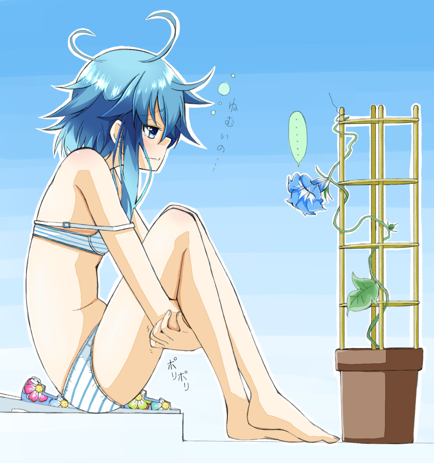 10s 1girl asymmetrical_hair azumaya_(miyui001) barefoot blue_background blue_eyes blue_flower blue_hair bra flower flower_pot flower_request from_side highres kantai_collection knees_up leg_hug looking_away messy_hair minazuki_(kantai_collection) morning_glory panties plant profile sad sandals sandals_removed sitting solo strap_slip striped striped_bra striped_panties trellis underwear underwear_only wavy_mouth