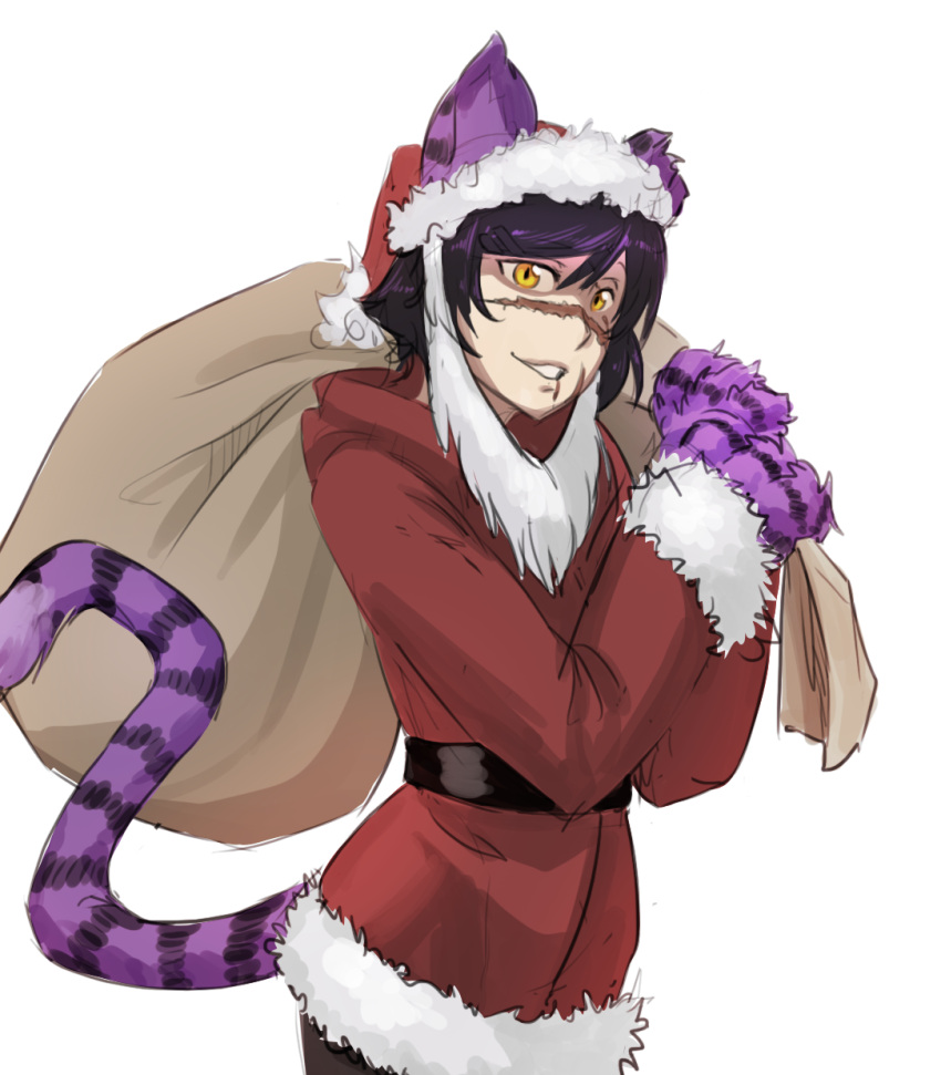 1girl animal_ears black_belt cat_ears cat_paws cat_tail cheshire_cat_(monster_girl_encyclopedia) facing_to_the_side fake_beard hat highres holding laska_(monster_girl_encyclopedia) less looking_at_viewer monster_girl monster_girl_encyclopedia paws sack santa_costume santa_hat scar scar_across_eye scar_on_cheek simple_background slit_pupils solo striped_tail tail upper_body white_background yellow_eyes