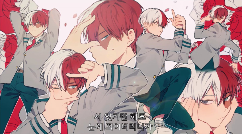 1boy blue_eyes boku_no_hero_academia flower half-closed_eyes korean looking_at_viewer multicolored_hair necktie one_eye_closed pants pose red_necktie red_rose redhead rose school_uniform sideburns solo_focus text todoroki_shouto translation_request two-tone_hair white_hair white_rose
