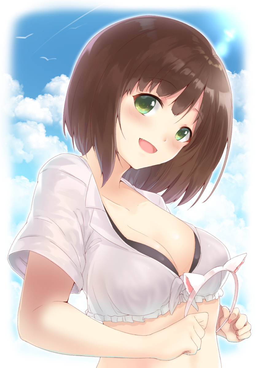 1girl animal_ears bird black_bra blue_sky blush bra breasts brown_hair cat_ears cleavage clouds collarbone commentary_request condensation_trail crop_top day enatsu fang green_eyes hairband hairband_removed head_tilt highres holding idolmaster idolmaster_cinderella_girls looking_at_viewer maekawa_miku medium_breasts open_mouth outdoors outline seagull shirt short_hair short_sleeves sky smile solo underwear upper_body white_hairband white_outline white_shirt