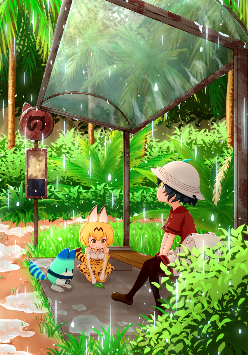 2girls :d animal_ears aqua_eyes backpack backpack_removed bag black_hair black_legwear blonde_hair blush_stickers bow bowtie bucket_hat bus_stop bush closed_mouth elbow_gloves full_body gloves grass hat hat_feather high-waist_skirt highres kaban_(kemono_friends) kemono_friends looking_down looking_up lucky_beast_(kemono_friends) multiple_girls open_mouth outdoors pandemic14 pantyhose pantyhose_under_shorts paper_airplane puddle rain red_shirt ripples seiza serval_(kemono_friends) serval_ears serval_print serval_tail shirt short_hair short_sleeves shorts sitting skirt sleeveless sleeveless_shirt smile striped_tail tail tree water water_drop yellow_eyes