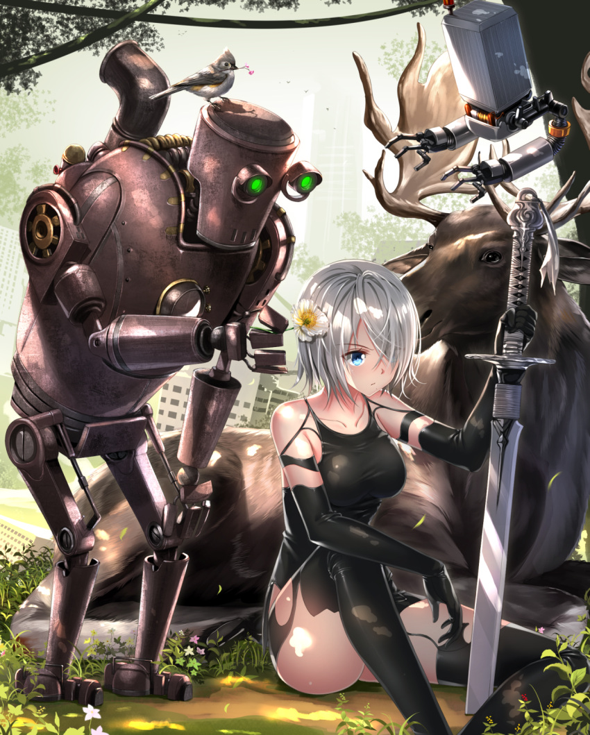 1girl animal bangs bare_shoulders bird black_dress black_gloves black_legwear blue_eyes breasts collarbone commentary_request day dress elbow_gloves flower giving gloves hair_over_one_eye highres holding holding_flower holding_sword holding_weapon knee_up medium_breasts moose nier_(series) nier_automata outdoors pascal_(nier_automata) pod_(nier_automata) post-apocalypse robot short_hair silver_hair sitting sleeveless sleeveless_dress solo sword swordsouls thigh-highs weapon yorha_type_a_no._2