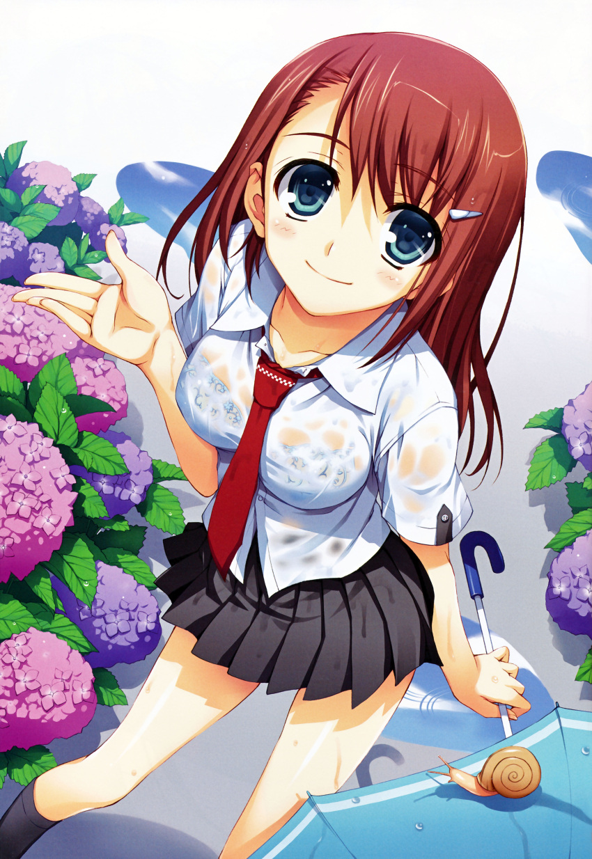 1girl absurdres bangs black_legwear blue_bra blue_eyes bra brown_hair collarbone eyebrows_visible_through_hair flower from_above hair_ornament hairclip highres hydrangea kneehighs lace lace_bra long_hair necktie pleated_skirt puddle scan school_uniform see-through skirt smile snail solo tomose_shunsaku umbrella underwear wet wet_clothes