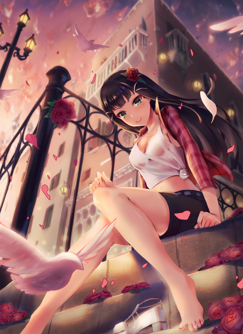 1girl bangs barefoot bird black_hair blunt_bangs blurry blush breasts building chiwa_(tsugumisky) cleavage depth_of_field dove dutch_angle feet flower green_eyes hair_flower hair_ornament highres kurosawa_dia lamppost long_hair looking_at_viewer love_live! love_live!_sunshine!! medium_breasts mole mole_under_mouth outdoors plaid plaid_shirt rose see-through shirt shoes_removed shorts smile solo sunset toes wet wet_clothes wet_shirt