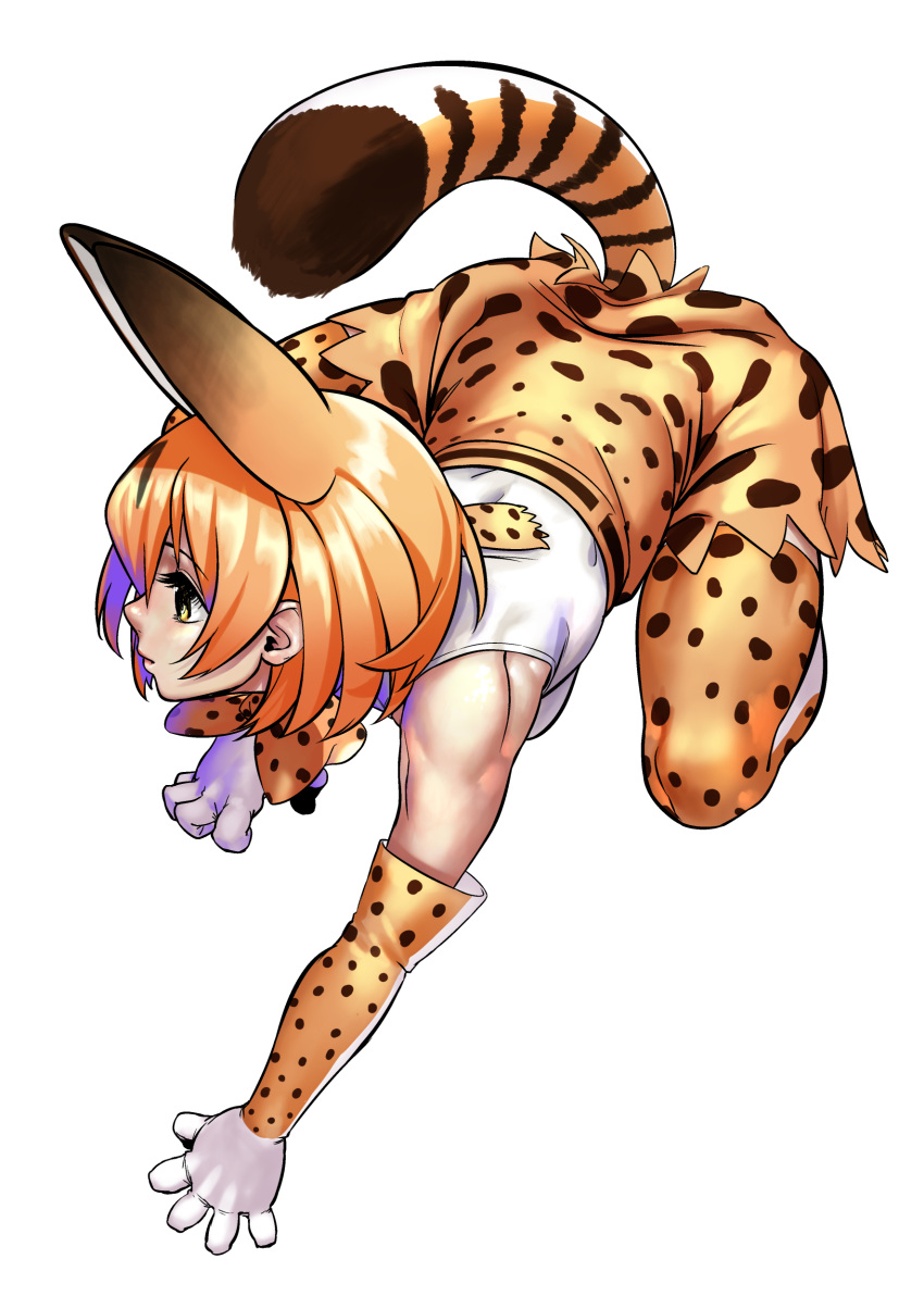 1girl absurdres animal_ears bow bowtie elbow_gloves gloves high-waist_skirt highres kemono_friends muscle orange_hair serval_(kemono_friends) serval_ears serval_print serval_tail shirt simple_background skirt sleeveless sleeveless_shirt solo striped_tail tail turiganesou800 yellow_eyes