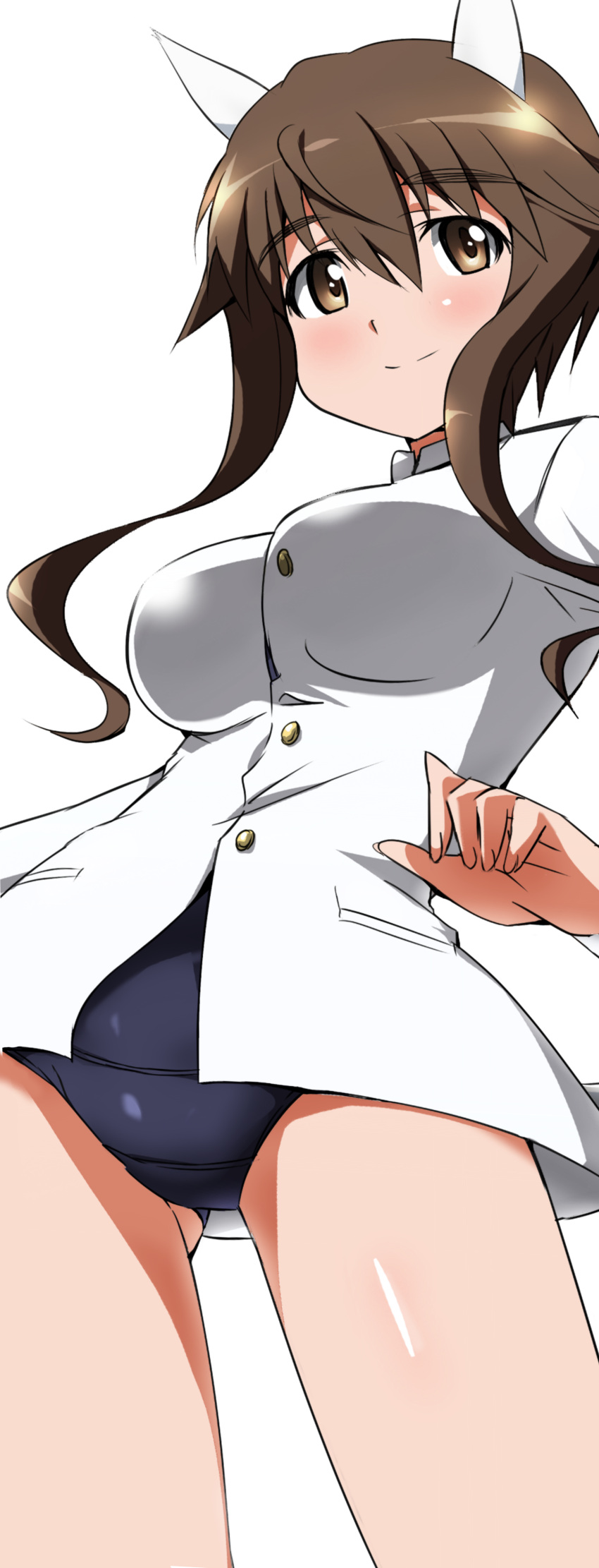 1girl absurdres animal_ears blue_swimsuit brown_eyes brown_hair closed_mouth cowboy_shot crotch_seam eyebrows_visible_through_hair gluteal_fold highres jacket light_smile long_sleeves looking_at_viewer military military_uniform no_pants official_style school_swimsuit short_hair short_hair_with_long_locks simple_background solo standing strike_witches swimsuit takei_junko uniform white_background white_jacket world_witches_series yumekaranigeruna