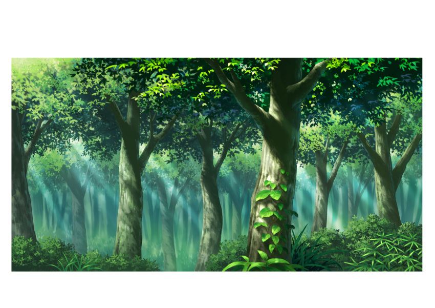 bush dappled_sunlight forest green hariken leaf nature no_humans original outdoors plant scenery sunlight tree_shade vines white_border