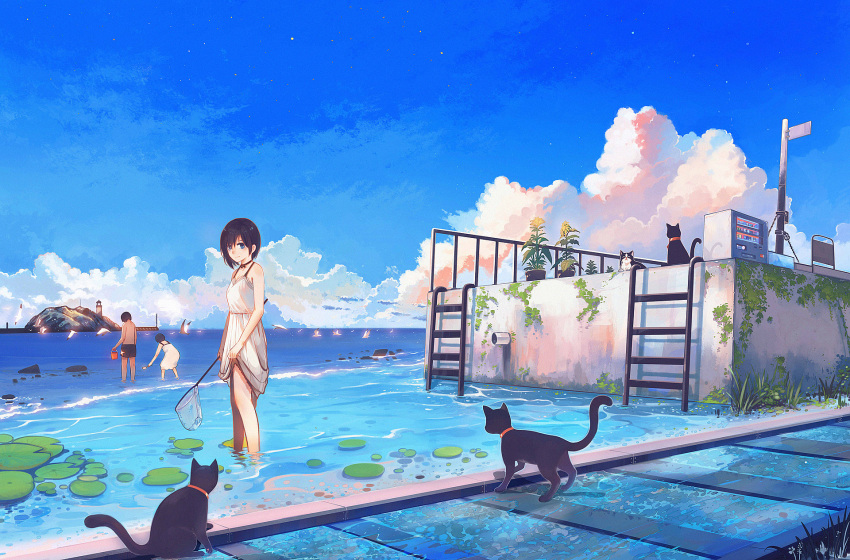 1boy 2girls animal bird black_hair blue_eyes blush bucket cat closed_mouth clouds fishing_net hanasei highres holding_bucket ladder lighthouse lily_pad looking_at_viewer looking_away moss multiple_girls original plant potted_plant seagull short_hair smile wading