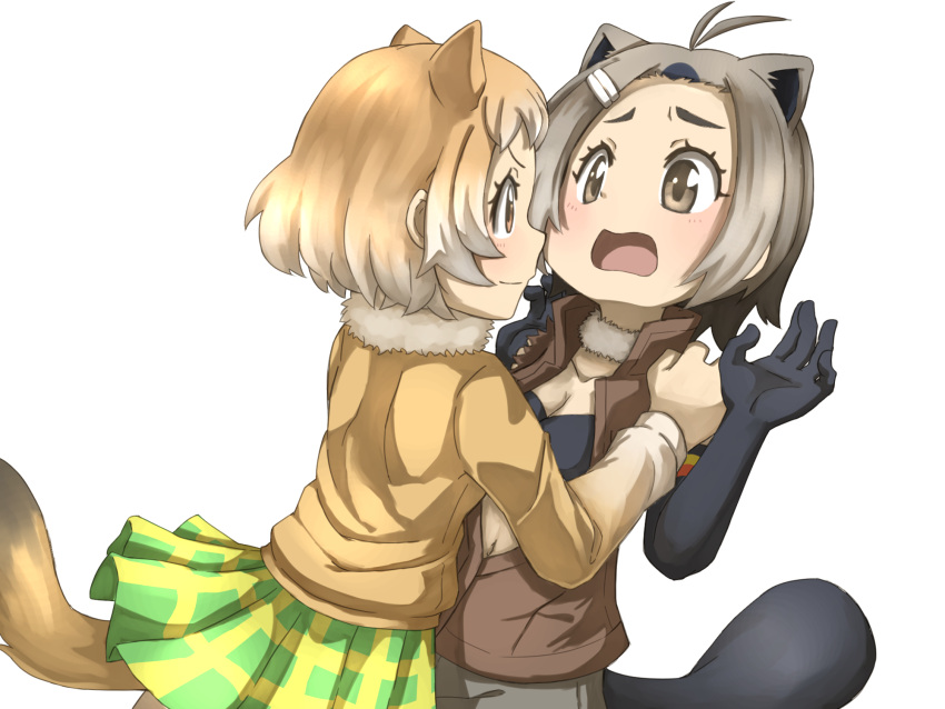 &gt;:) 2girls american_beaver_(kemono_friends) animal_ears antenna_hair beaver_ears beaver_tail black-tailed_prairie_dog_(kemono_friends) blush brown_eyes brown_hair collarbone commentary_request d: elbow_gloves eye_contact face-to-face fur_collar gloves gradient_hair hair_ornament hand_on_another's_shoulder hands_up high_collar highres imminent_kiss jacket kemono_friends long_sleeves looking_at_another multicolored_hair multiple_girls navel open_clothes open_jacket open_mouth pleated_skirt prairie_dog_ears prairie_dog_tail short_hair shorts simple_background skirt sleeveless_jacket smile standing sweater tail tenya upper_body white_background yuri