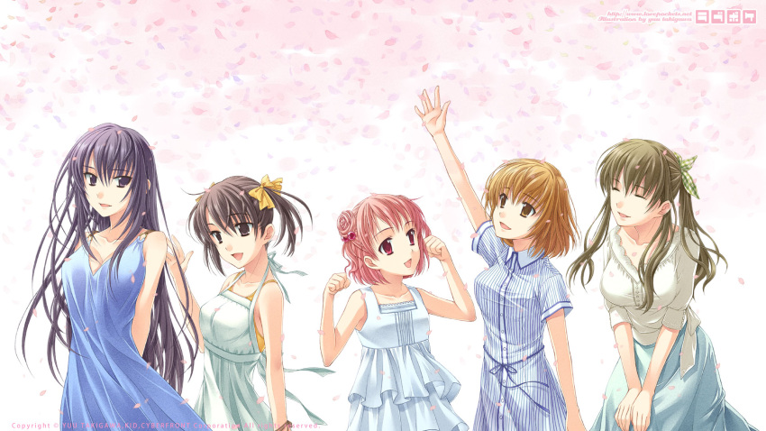 5girls akanegasaki_sora casual ever_17 highres komachi_tsugumi matsunaga_sara multiple_girls petals takigawa_yuu tanaka_yubiseiakikana tanaka_yubiseiharukana wallpaper yagami_coco