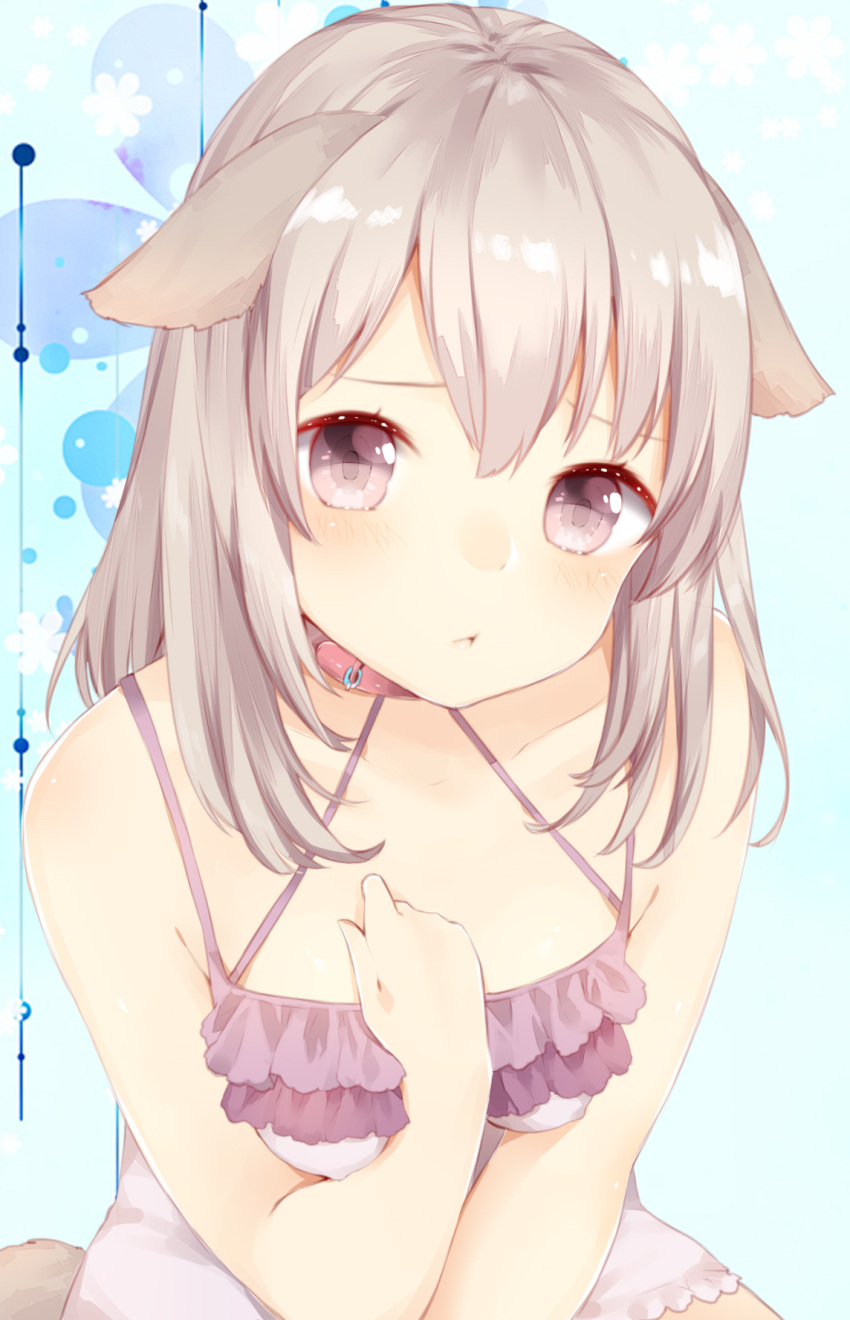 1girl :t animal_ears bangs blush closed_mouth collar collarbone dog_ears dog_girl dog_tail grey_eyes hand_on_own_chest highres long_hair looking_at_viewer manatsuki_manata original pursed_lips silver_hair sitting solo tail tareme