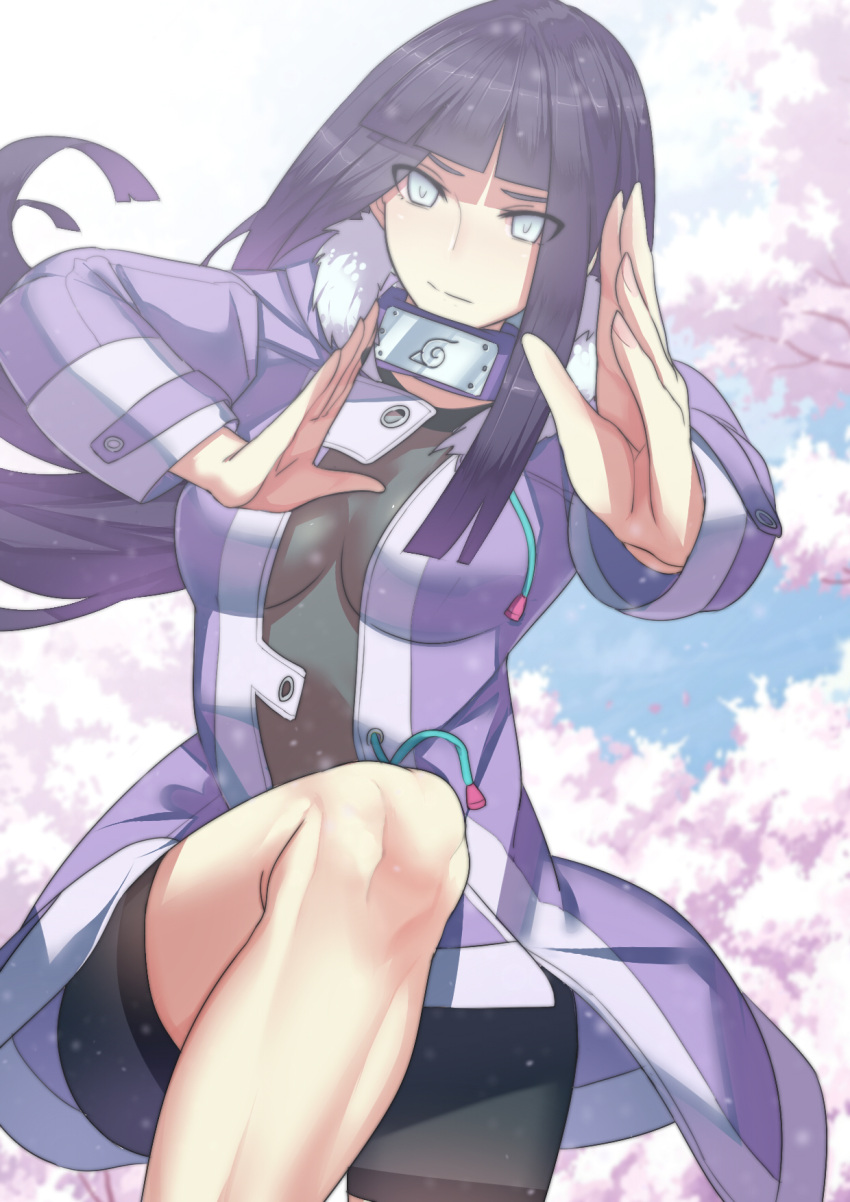 1girl black_bodysuit black_hair bodysuit breasts cherry_blossoms closed_mouth cowboy_shot fighting_stance foreshortening grey_eyes headband_around_neck highres hime_cut hyuuga_hinata jacket leg_up long_sleeves looking_at_viewer medium_breasts naruto open_clothes open_jacket purple_jacket solo unitard worldless