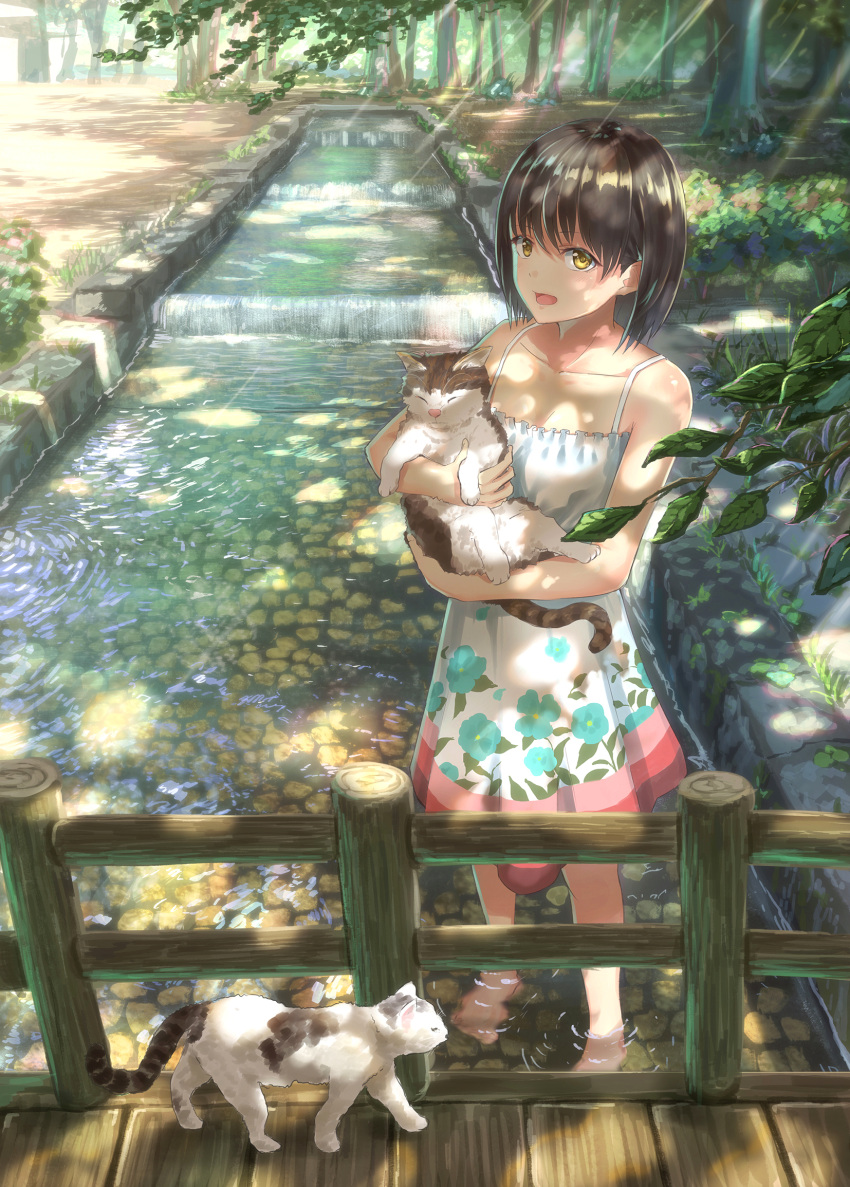 1girl animal barefoot black_hair blush cat collarbone dress eyebrows_visible_through_hair highres holding holding_animal k_ryo looking_at_viewer original parted_lips short_hair soaking_feet tree white_dress