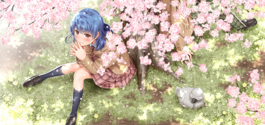 1boy 1girl bird blue_hair blush cherry_blossoms domestic_na_kanojo duck hands_together looking_at_viewer official_art petals red_eyes sasuga_kei school_uniform sitting tachibana_rui tree tree_shade