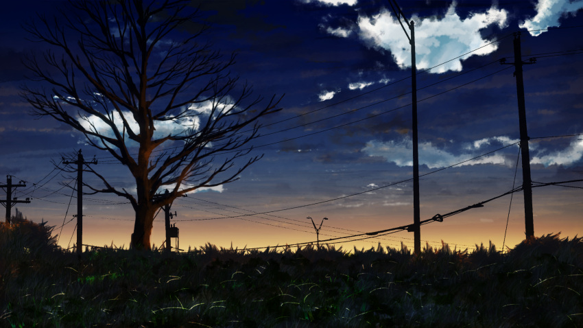 blue_sky cable clouds cloudy_sky commentary_request grass highres night night_sky no_humans original outdoors scenery sky sunrise telephone_pole tree y_y_(ysk_ygc)