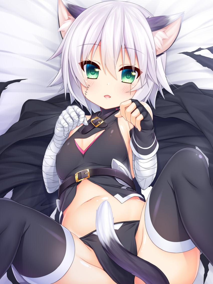 1girl absurdres animal_ears assassin_of_black bandage bandaged_arm bare_shoulders black_legwear black_panties blush cat_ears cat_tail fate/apocrypha fate/grand_order fate_(series) gloves green_eyes highres kemonomimi_mode looking_at_viewer navel open_mouth panties paw_pose scar short_hair silver_hair smile solo tail thigh-highs underwear wakagi_repa