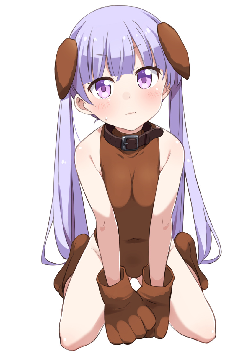 1girl 3: absurdres animal_ears bare_shoulders blush breasts brown_collar brown_gloves brown_leotard brown_shoes closed_mouth collar commentary_request covered_navel dog_ears eyebrows_visible_through_hair full_body gloves highres lavender_eyes lavender_hair leotard long_hair looking_at_viewer mousou_(mousou_temporary) new_game! paw_gloves paw_shoes paws shoes simple_background sitting small_breasts solo suzukaze_aoba sweatdrop twintails wariza white_background