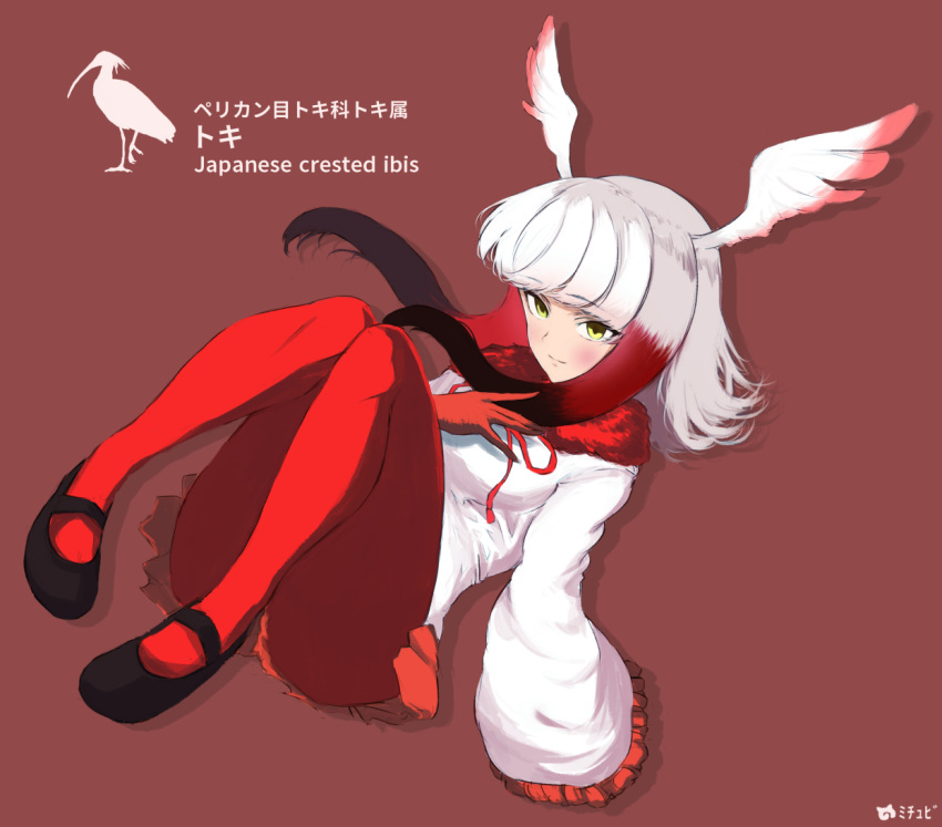 1girl artist_name bangs black_shoes blunt_bangs character_name crested_ibis full_body gloves head_wings invisible_chair japanese_crested_ibis_(kemono_friends) japari_symbol kemono_friends long_hair long_sleeves looking_at_viewer m2b mary_janes multicolored_hair pantyhose pleated_skirt red_background red_legwear redhead shirt shoes silhouette simple_background sitting skirt solo tail two-tone_hair white_hair white_shirt wide_sleeves yellow_eyes