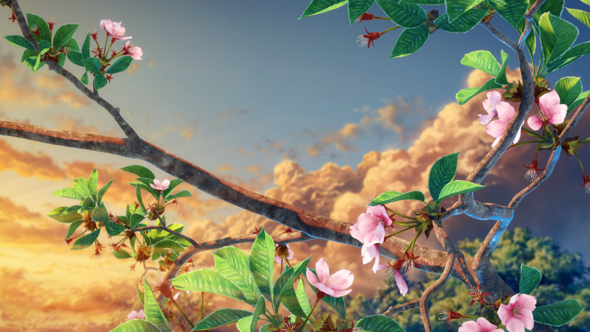 blue_sky branch cherry_blossoms close-up clouds cloudy_sky day leaf no_humans original outdoors scenery sky still_life sunrise tree yuu_knmy