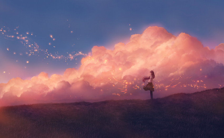1girl blue_sky brown_hair clouds grass long_hair original outdoors pleated_skirt red_clouds sakimori_(hououbds) scenery skirt sky solo
