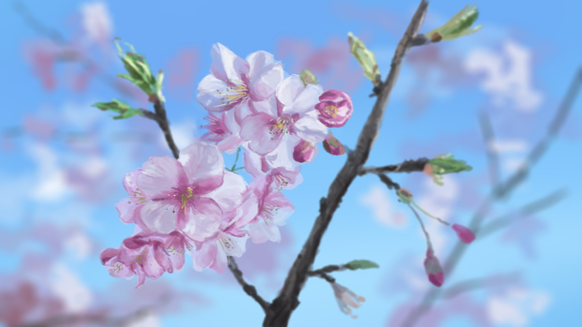 blue_sky blurry blurry_background branch cherry_blossoms close-up commentary_request day flower highres hirota_(masasiv3) leaf no_humans outdoors sky still_life tree