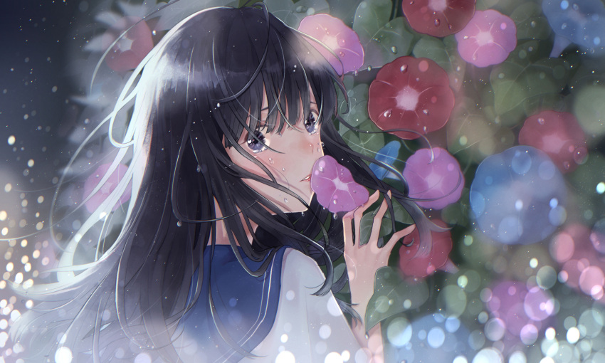 1girl arm_up black_hair blouse blue_eyes blue_sailor_collar flower from_behind highres leaf long_hair looking_at_viewer looking_back morning_glory necojishi original sailor_collar solo teardrop upper_body white_blouse