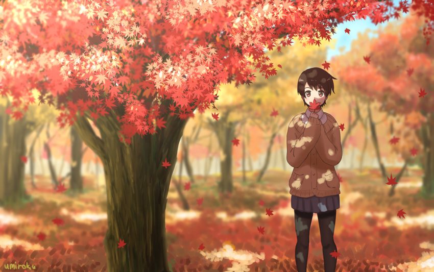 1girl autumn_leaves bangs black_legwear blue_skirt brown_eyes brown_hair cardigan commentary_request covering_mouth falling_leaves forest holding holding_leaf leaf long_sleeves looking_at_viewer maple_leaf nature original pantyhose pleated_skirt pocket short_hair short_sleeves skirt solo standing tree tree_shade umiroku under_tree