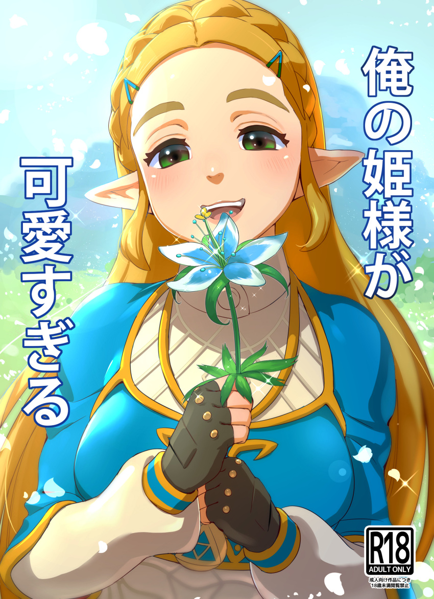1girl :d bangs blonde_hair blue_sky blush braid cover cover_page day doujin_cover eyebrows fingerless_gloves french_braid gloves grass green_eyes hair_ornament hairclip half-closed_eyes highres iku_(ikuchan_kaoru) long_hair looking_at_viewer open_mouth outdoors parted_bangs pointy_ears princess_zelda sky smile solo sparkle teeth the_legend_of_zelda the_legend_of_zelda:_breath_of_the_wild translation_request upper_body