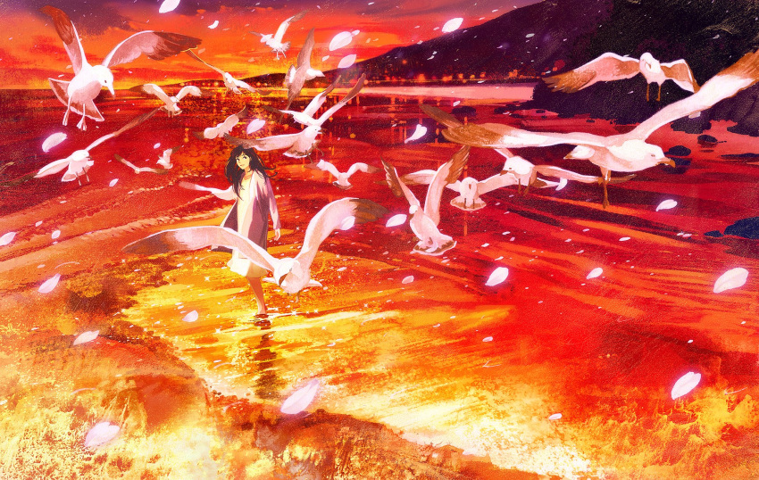 1girl bird black_eyes black_hair dress feathers flock flying gemi highres long_hair long_sleeves mountain outdoors parted_lips pink_jacket red_sky reflection scarf seagull shore sky soaking_hands solo standing sunset white_dress