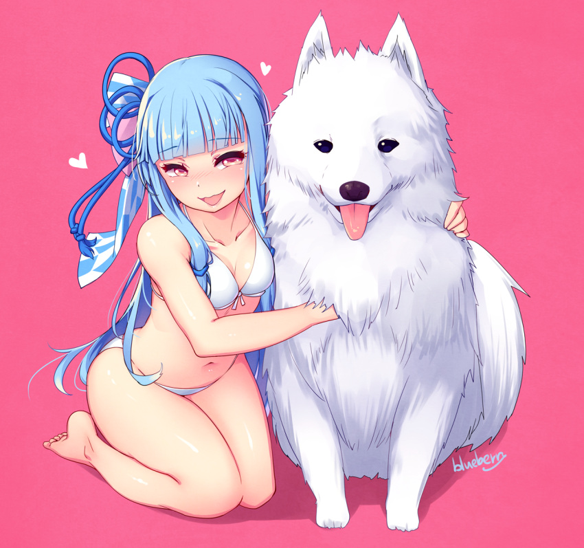 1girl artist_name bangs bare_arms bare_legs barefoot bikini blue_hair blue_ribbon blueberry_(5959) blunt_bangs breasts cleavage collarbone dog eyebrows_visible_through_hair full_body hair_ribbon halter_top halterneck heart highres kneeling kotonoha_aoi long_hair looking_at_viewer medium_breasts navel pink_background red_eyes ribbon simple_background smile solo swimsuit voiceroid white_bikini
