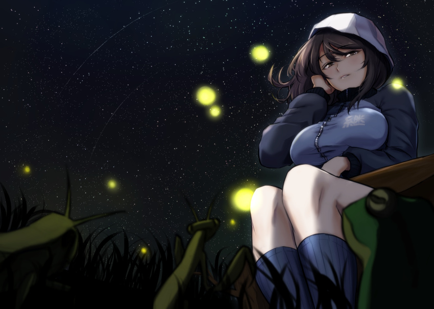 1girl adjusting_hair bangs blue_hat blue_jacket blue_skirt blurry breasts brown_eyes brown_hair bug cricket depth_of_field emblem eyebrows_visible_through_hair fireflies frog girls_und_panzer grass grey_legwear hat highres holding holding_instrument instrument jacket kantele keizoku_military_uniform large_breasts light_smile long_hair long_sleeves looking_at_viewer looking_down m2b mika_(girls_und_panzer) military military_uniform miniskirt night night_sky parted_lips pleated_skirt praying_mantis raglan_sleeves shooting_star sitting skirt sky socks solo star_(sky) starry_sky track_jacket uniform wind