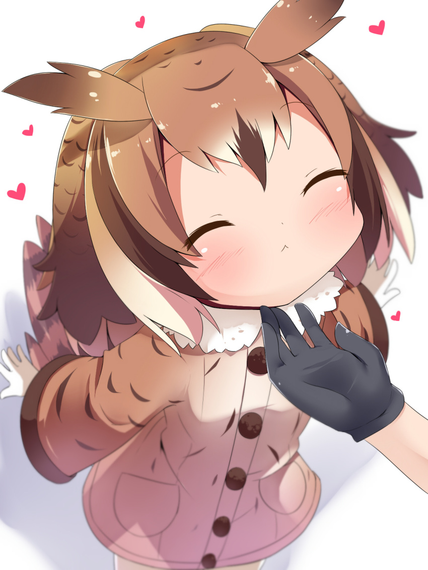 2girls :&lt; black_gloves blurry blush brown_coat brown_hair buttons chin_tickle closed_eyes coat depth_of_field eurasian_eagle_owl_(kemono_friends) foreshortening from_above fur_collar gloves hair_between_eyes head_wings heart highres kaban_(kemono_friends) kemono_friends long_sleeves makuran multicolored_hair multiple_girls pov shadow short_hair solo_focus tail white_background white_hair