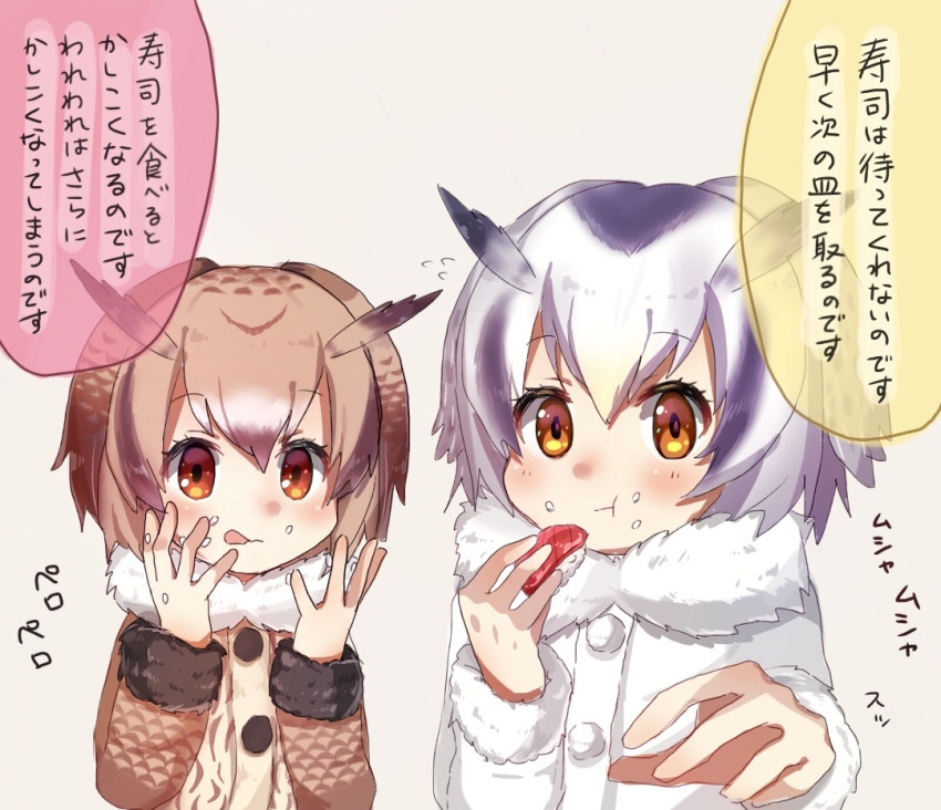 2girls :t blush brown_coat brown_hair coat eating eurasian_eagle_owl_(kemono_friends) flying_sweatdrops food food_on_face fur_collar hair_between_eyes head_wings holding holding_food kemono_friends kurone_(nano_070) long_sleeves looking_at_viewer multicolored_hair multiple_girls northern_white-faced_owl_(kemono_friends) reaching_out red_eyes rice rice_on_face short_hair speech_bubble sushi tongue tongue_out tuna upper_body white_coat white_hair yellow_eyes