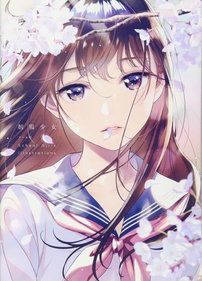 1girl artist_request bangs brown_eyes brown_hair cherry_blossoms collarbone eyebrows_visible_through_hair highres lips long_hair looking_at_viewer original outdoors parted_lips petals sailor_collar school_uniform serafuku solo tree_branch upper_body