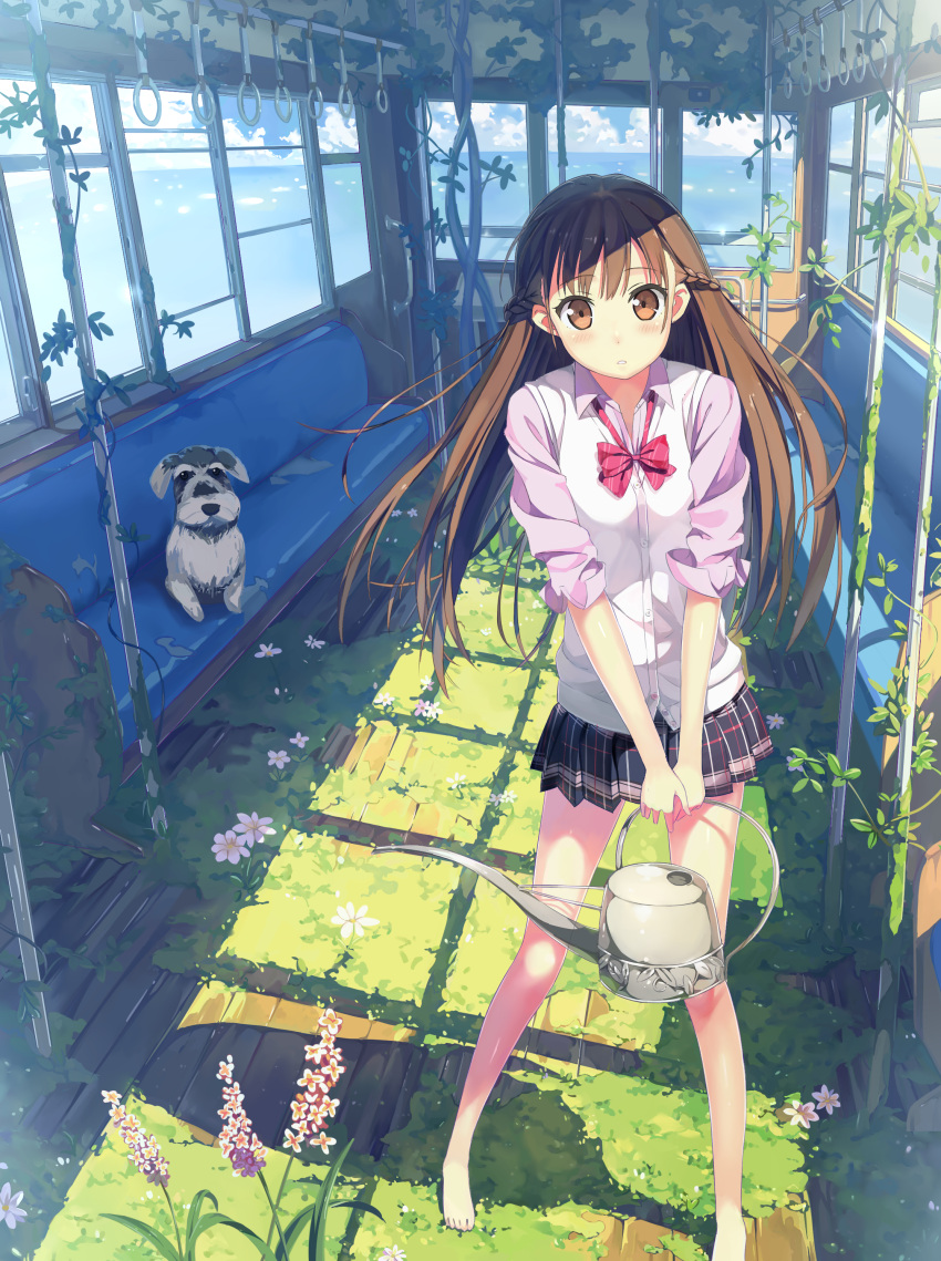 1girl absurdres araragikoyomis bare_legs barefoot blue_sky blush braid brown_eyes brown_hair checkered checkered_skirt clouds cloudy_sky day derivative_work dog eyebrows_visible_through_hair flower grass highres holding long_hair looking_at_viewer moss neck_ribbon ocean parted_lips pink_shirt plant pleated_skirt ribbon school_uniform seat shirt skirt sky sleeves_rolled_up solo standing summer train_interior watering_can white_shirt window